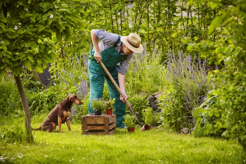 Various types of lawn mowers suitable for Sydenham yards