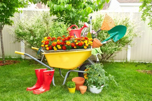 Professionally cleared garden in Sydenham