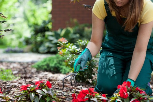 Benefits of hiring expert arborists