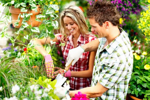 Choosing the right tree service company in Sydenham