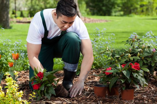 Well-maintained Sydenham garden showcasing regular upkeep