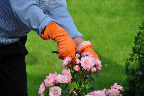 Professional garden maintenance service in Sydenham