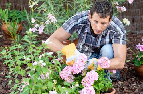 Native plant garden showcasing local flora