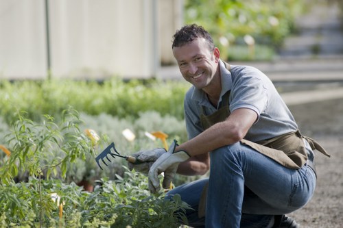 Sustainable garden features in a Sydenham backyard