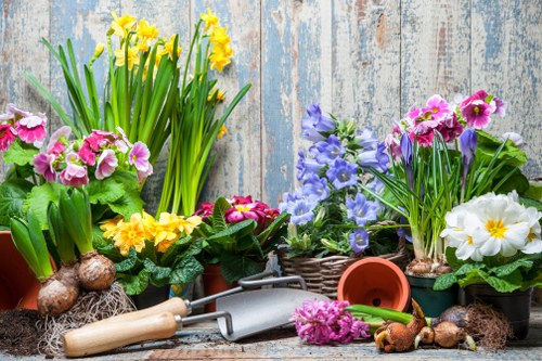 Professional landscapers working in Sydenham